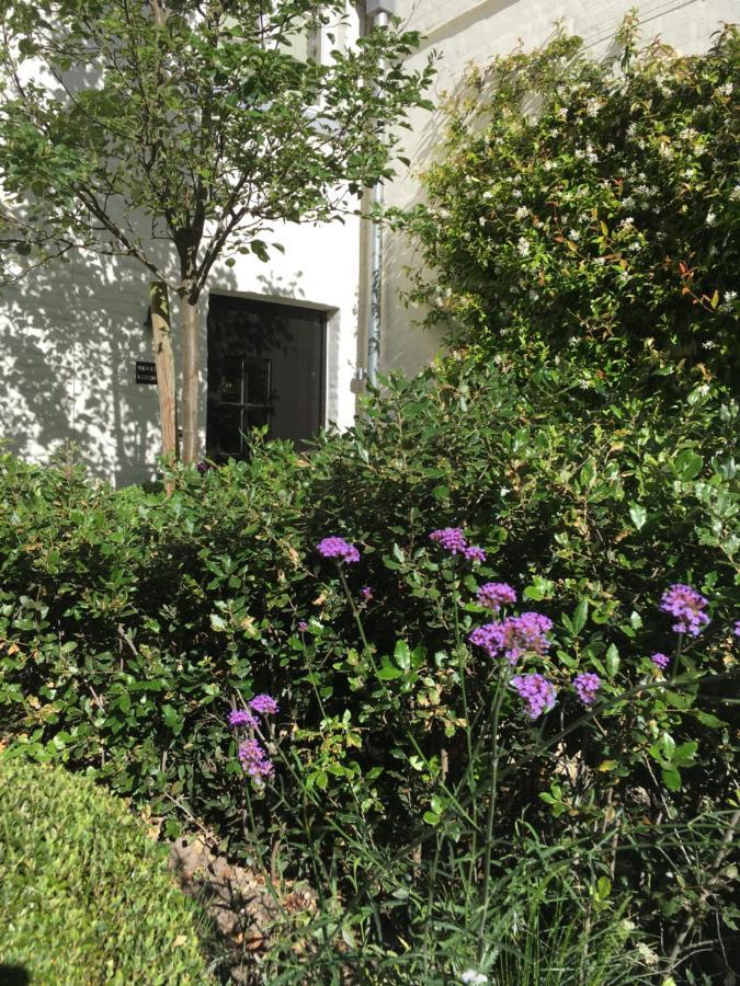 The Herring's - Stylish Private With Breakfast In Historic Center - Adults-only Couette-café